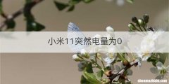 小米11突然电量为0