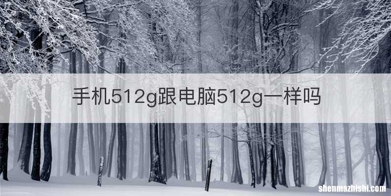 手机512g跟电脑512g一样吗