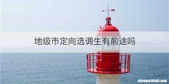 地级市定向选调生有前途吗