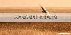 天津定向摇号什么时候开始