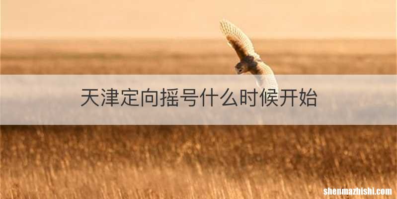 天津定向摇号什么时候开始