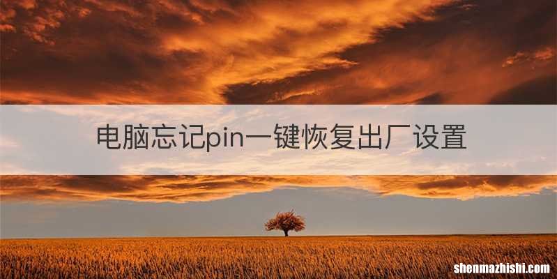 电脑忘记pin一键恢复出厂设置