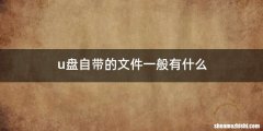 u盘自带的文件一般有什么