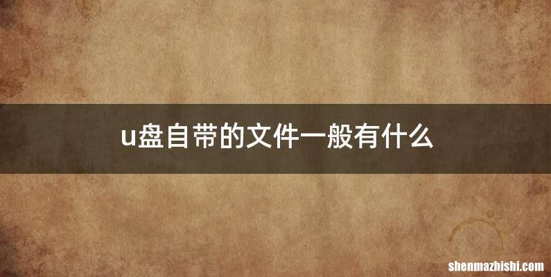 u盘自带的文件一般有什么