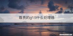 尊贵的g15什么处理器