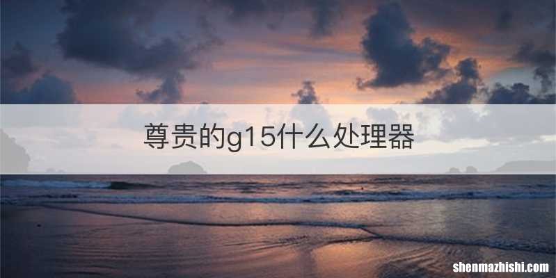 尊贵的g15什么处理器