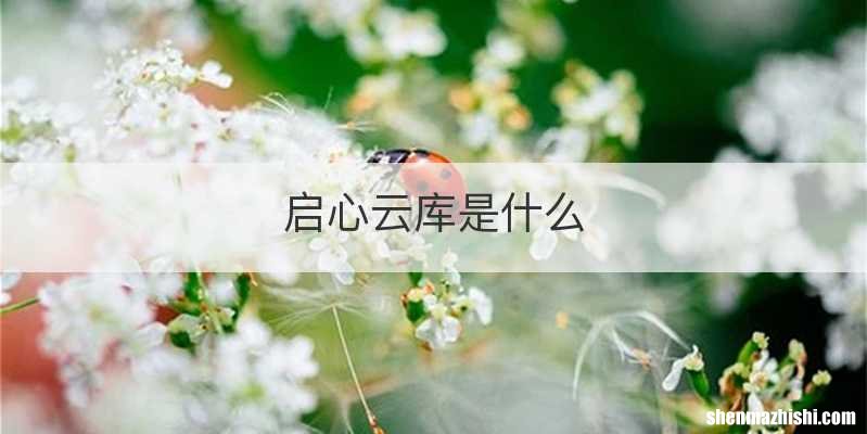 启心云库是什么