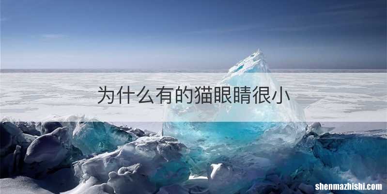 为什么有的猫眼睛很小