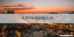 未来5年桃树新品种