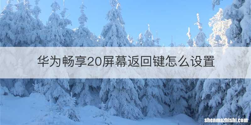 华为畅享20屏幕返回键怎么设置