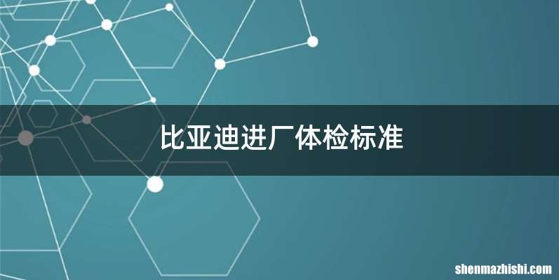 比亚迪进厂体检标准