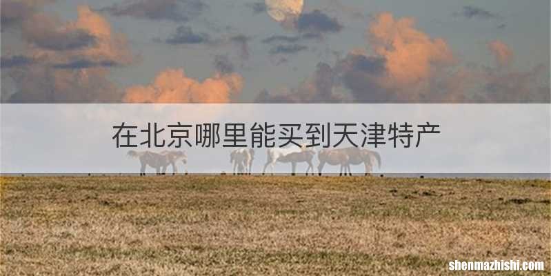 在北京哪里能买到天津特产
