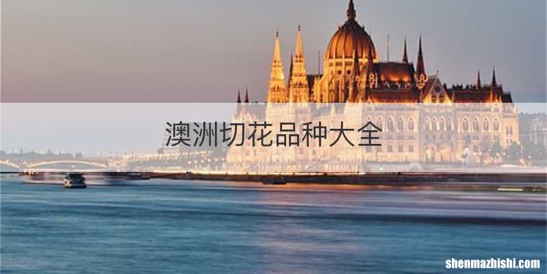 澳洲切花品种大全
