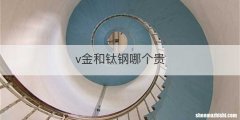 v金和钛钢哪个贵