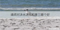 魂师对决水冰儿和唐三哪个好