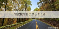 驾驶校车什么情况扣3分