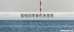 蜜桃四季春代表意思