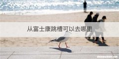 从富士康跳槽可以去哪里