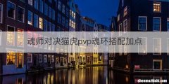魂师对决猫虎pvp魂环搭配加点