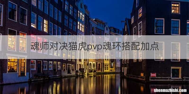 魂师对决猫虎pvp魂环搭配加点