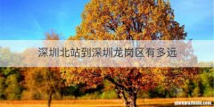 深圳北站到深圳龙岗区有多远