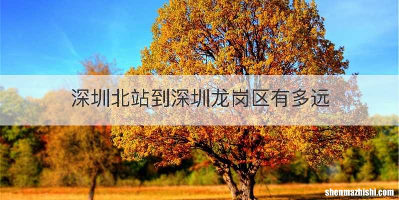深圳北站到深圳龙岗区有多远