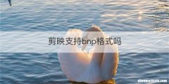 剪映支持bnp格式吗