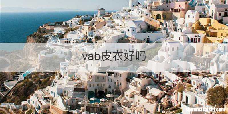 vab皮衣好吗