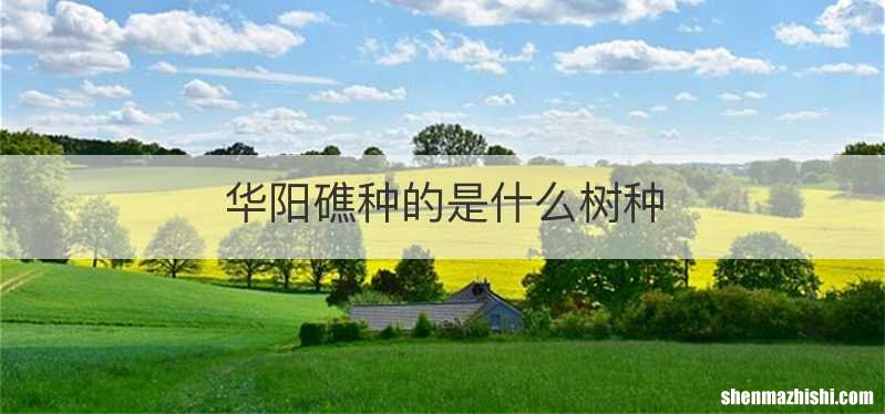 华阳礁种的是什么树种
