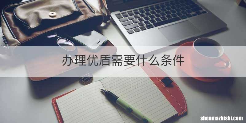 办理优盾需要什么条件