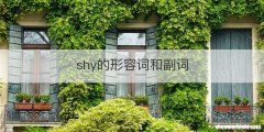shy的形容词和副词