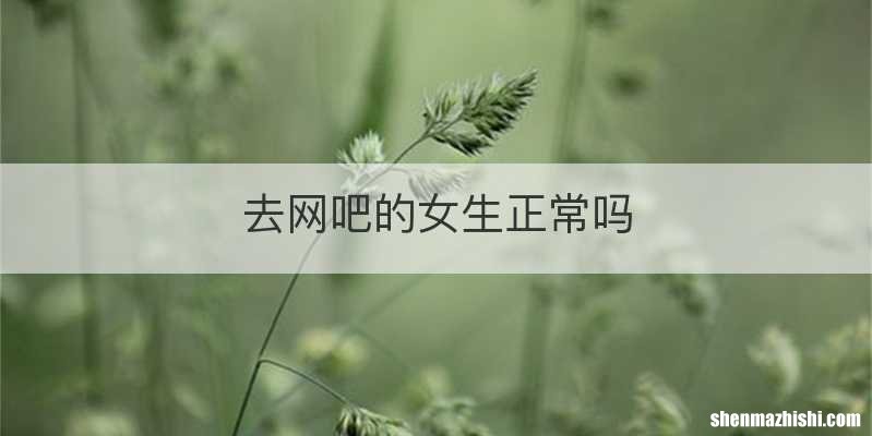 去网吧的女生正常吗