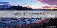 108颗菩提子代表什么意思