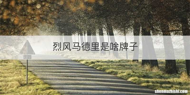烈风马德里是啥牌子