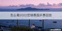 怎么看2022世锦赛国乒赛回放