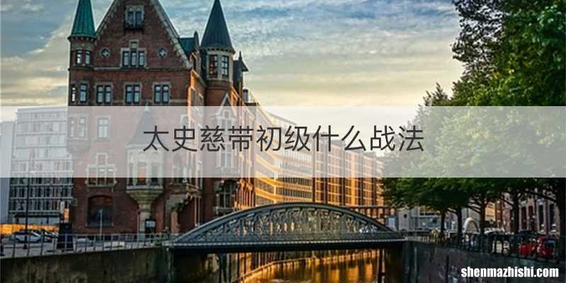 太史慈带初级什么战法