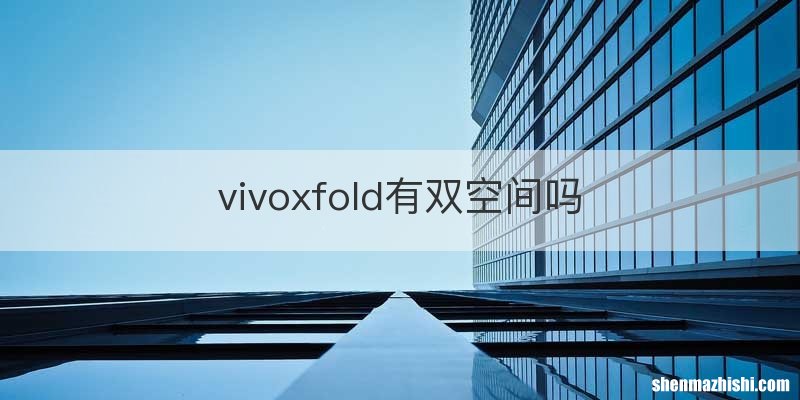 vivoxfold有双空间吗