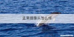 孟果摄像头怎么样