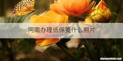 河南办理低保要什么照片