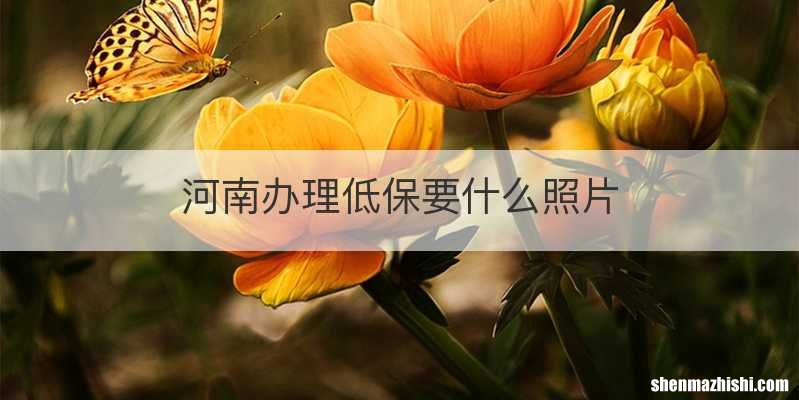 河南办理低保要什么照片