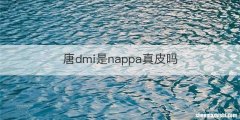 唐dmi是nappa真皮吗