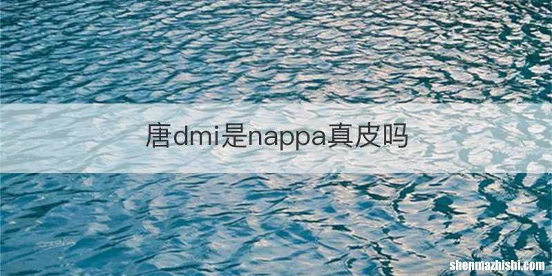 唐dmi是nappa真皮吗