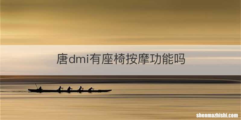 唐dmi有座椅按摩功能吗