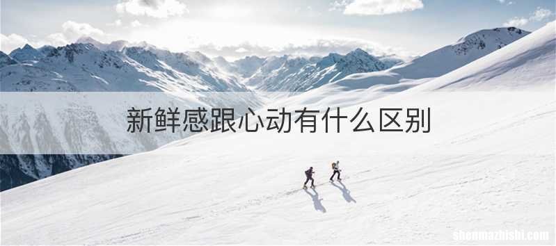 新鲜感跟心动有什么区别