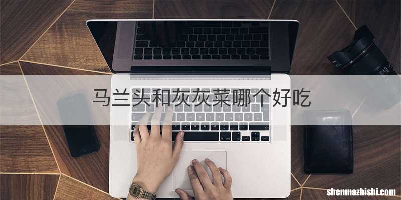 马兰头和灰灰菜哪个好吃