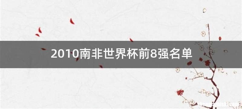 2010南非世界杯前8强名单