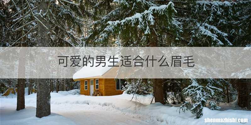 可爱的男生适合什么眉毛