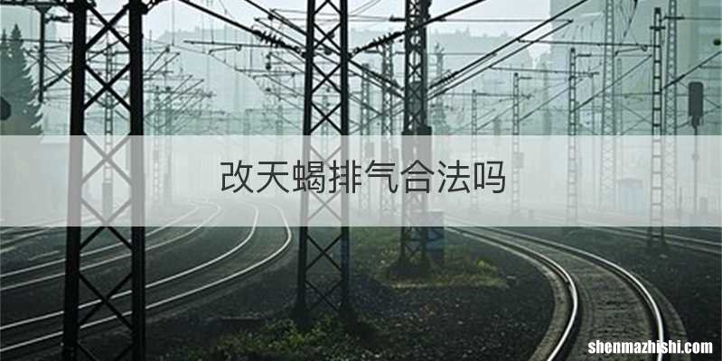 改天蝎排气合法吗