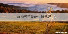 ar排气还是over排气好