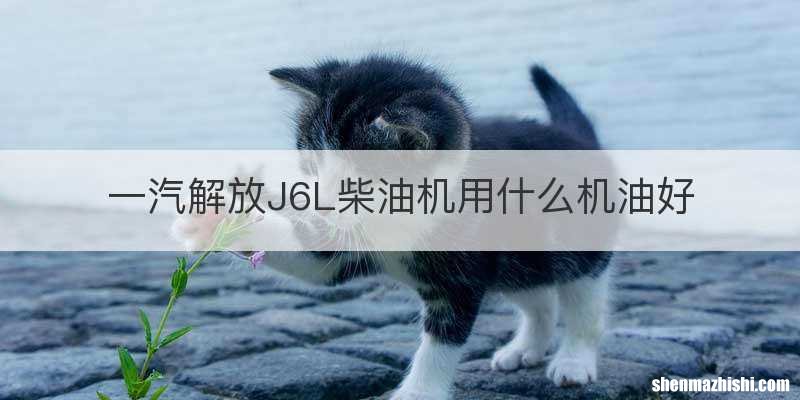 一汽解放J6L柴油机用什么机油好